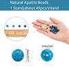 Natural Apatite Beads Strands G-AR0001-77-2