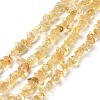 Heated Natural Citrine Chip Beads Strands X-G-D093-A03-1