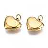 316 Surgical Stainless Steel Charms STAS-N097-045-3