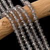 Natural Grey Agate Bead Strands G-D344-A19-03-1