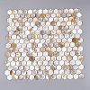 Natural Freshwater Shell Mosaic Tile Cabochons SHEL-Q029-04-1