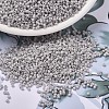 MIYUKI Delica Beads SEED-X0054-DB1498-1