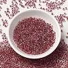 6/0 Transparent Glass Seed Beads SEED-F003-03A-03-2