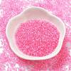 Transparent Colours Glass Seed Beads SEED-H003-01F-2