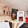 Folding Paper Gift Bags with Hole Handle and Plastic Visible Window ABAG-WH0038-52B-01-4