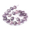 Natural Lepidolite/Purple Mica Stone Beads Strands G-B016-06-2