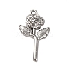 Alloy Pendants PALLOY-R162-10P-1