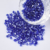 8/0 Two Cut Glass Seed Beads SEED-S033-15A-05-1
