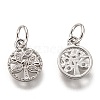 Brass Micro Pave Clear Cubic Zirconia Charms ZIRC-B002-66P-2