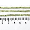 Natural Peridot Beads Strands G-M421-A01-01-5