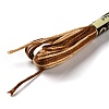 10 Skeins 6-Ply Polyester Embroidery Floss OCOR-K006-A51-2