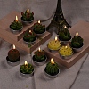 Cactus Paraffin Smokeless Candles DIY-G024-D-5