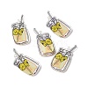 Transparent Printed Acrylic Pendants LS-TACR-G042-01D-4