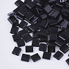 FGB 2-Hole Glass Seed Beads SEED-S031-L-049-1