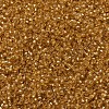 MIYUKI Round Rocailles Beads SEED-X0054-RR0004-3