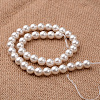 Polished Round Grade A Shell Pearl Bead Strands X-BSHE-M027-6mm-28-2