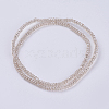 Transparent Glass Beads Strands X-GLAA-F079-B02-2