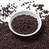 MIYUKI Round Rocailles Beads X-SEED-G008-RR0419-2