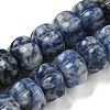 Natural Blue Spot Jasper Beads Strands G-G142-A13-01-2