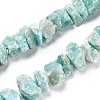 Natural Amazonite Beads Strands G-I283-F01-1