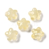 Baking Paint Glass Beads X1-GLAA-S202-10C-1