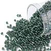 TOHO Round Seed Beads SEED-JPTR11-0373-1