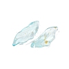 Glass Pendants GLAA-C040-01D-2