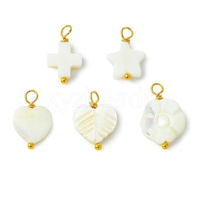 5pcs 5 Styles Natural Shell Pendants PALLOY-JF03071-1