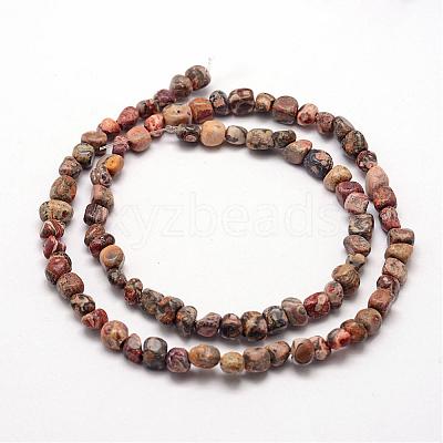 Natural Leopard Skin Jasper Beads Strands G-F465-31-1