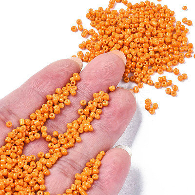 12/0 Glass Seed Beads SEED-S060-A-F429-1