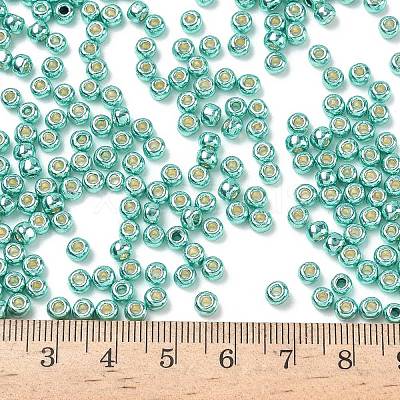 TOHO 6/0 Round Beads X-SEED-TR06-PF0561-1