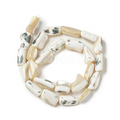 Natural Trochid Shell/Trochus Shell Beads Strands SHEL-F004-12-1