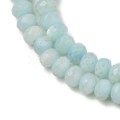Natural Freshwater Shell Dyed Beads Strands SHEL-R100-13A-02-1
