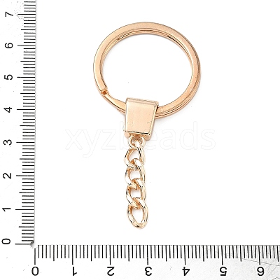 Alloy Keychain Clasps FIND-C084-11KCG-1