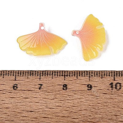 Heat Shrink Acrylic Pendants OACR-N164-09-1