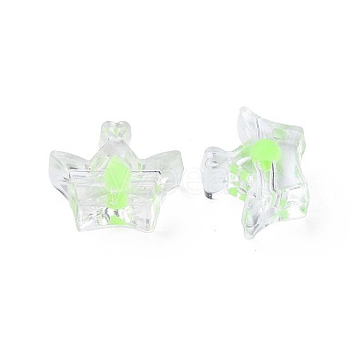 Transparent Acrylic Beads LS-MACR-S373-105-B06-1