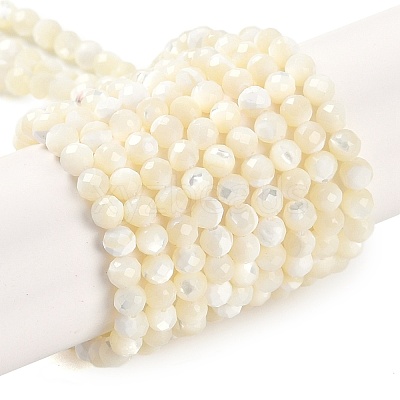 Shell Beads Strands SSHEL-E571-38-4mm-1