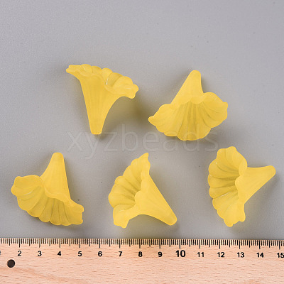 Transparent Acrylic Beads BSF796-C09-1
