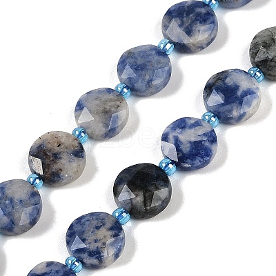 Natural Blue Spot Jasper Beads Strands G-C116-A79-01-1