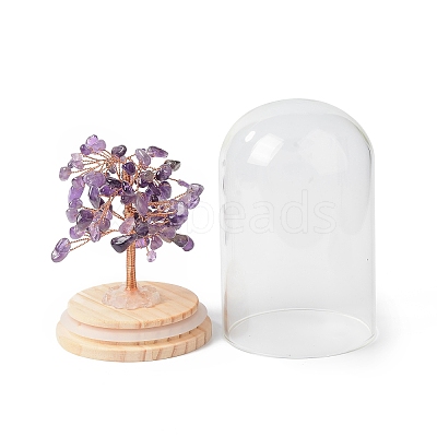 Natural Amethyst Chips Money Tree in Dome Glass Bell Jars with Wood Base Display Decorations DJEW-B007-04G-1