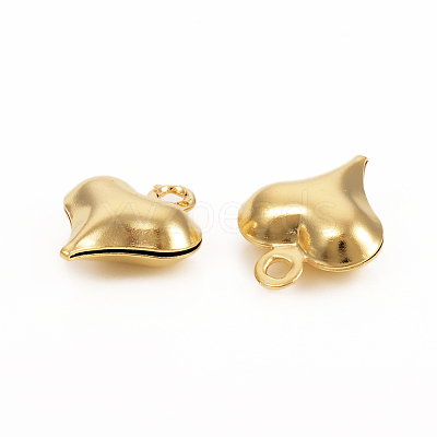 304 Stainless Steel Charms STAS-I149-05A-G-1
