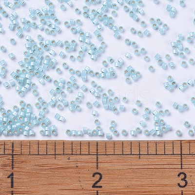 MIYUKI Delica Beads X-SEED-J020-DB0628-1