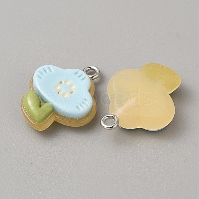 Translucent Resin Pendants RESI-TAC0019-08D-1