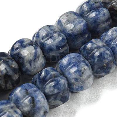 Natural Blue Spot Jasper Beads Strands G-G142-A13-01-1