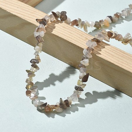 Natural Botswana Agate Chip Beaded Necklaces for Men Women NJEW-G159-01V-1