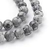 Natural Map Stone/Picasso Stone/Picasso Jasper Beads Strands G-G047-8mm-6