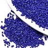 FGB 11/0 Grade A Glass Seed Beads X-SEED-S030-1024-1