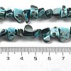 Dyed Natural Trochus Shell Beads Strands BSHE-Z006-01E-4