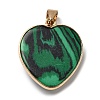 Natural Malachite Pendants G-K335-04G-11-3