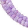 Natural Freshwater Shell Dyed Beads Strands SHEL-R100-13A-01-3